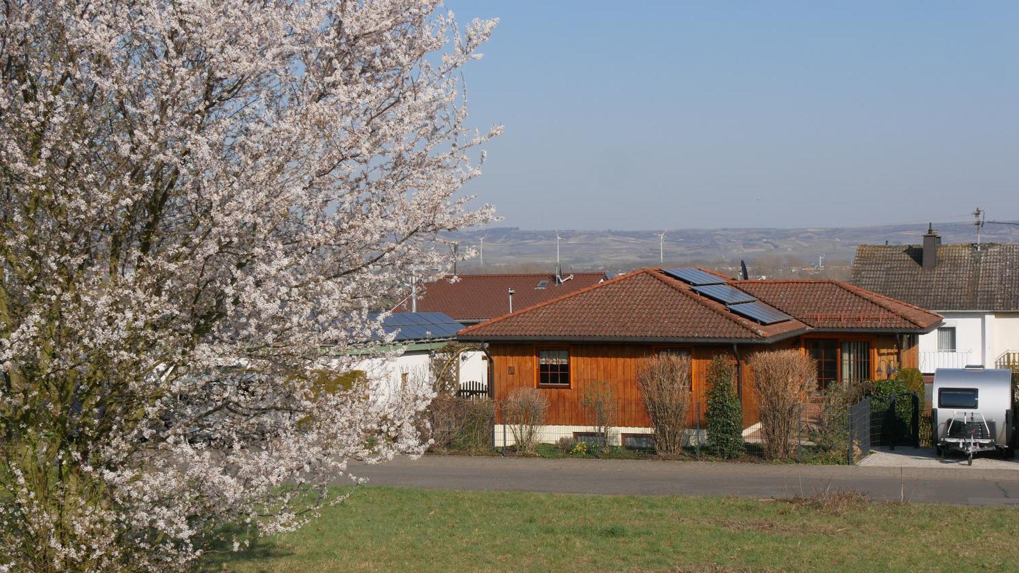 Ferienwohnung An Den Weingaerten Langenlonsheim Extérieur photo